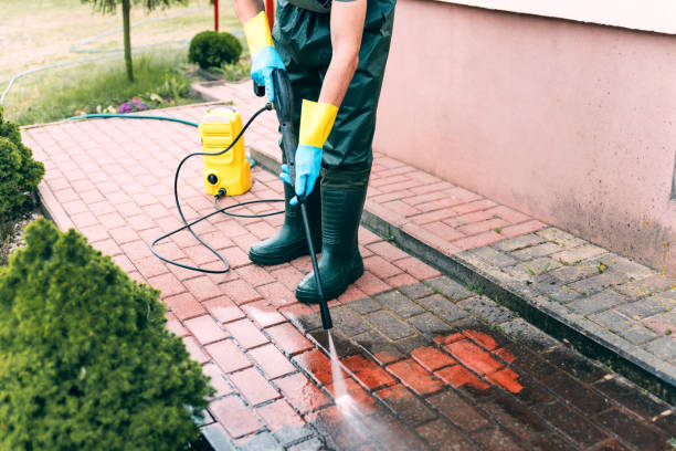 Best Animal Enclosure Cleaning  in Pearland, TX