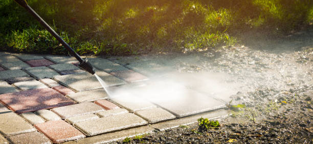 Best Driveway Pressure Washing  in Pearland, TX